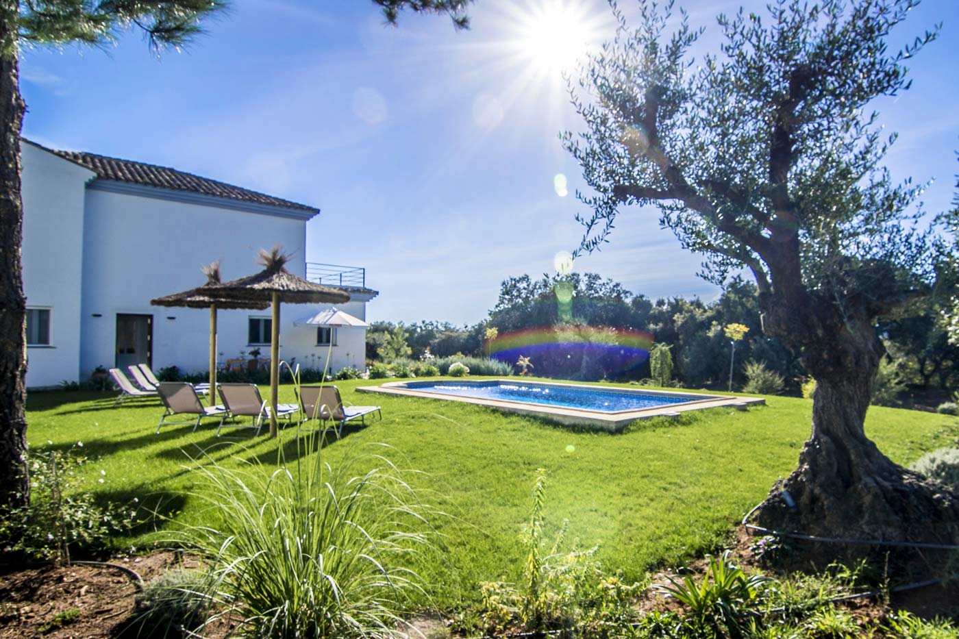 The house is surrounded by flower beds 